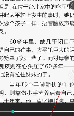 ��������(С˵�Ķ�����)