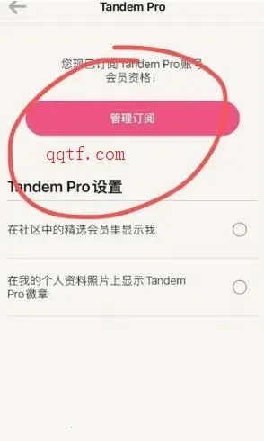 Tandem2026���°汾