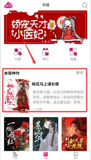 ��������(С˵�Ķ�ƽ̨)