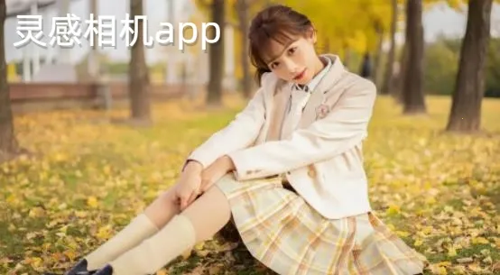 ������(ǿ����������)