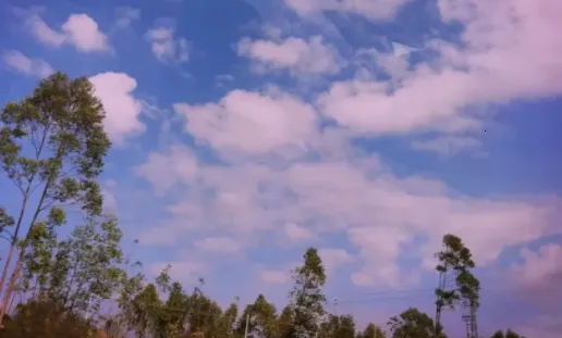 ����ȫ�����2026�ٷ�����