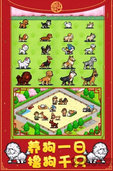 发现狗狗乐园 发现狗狗乐园