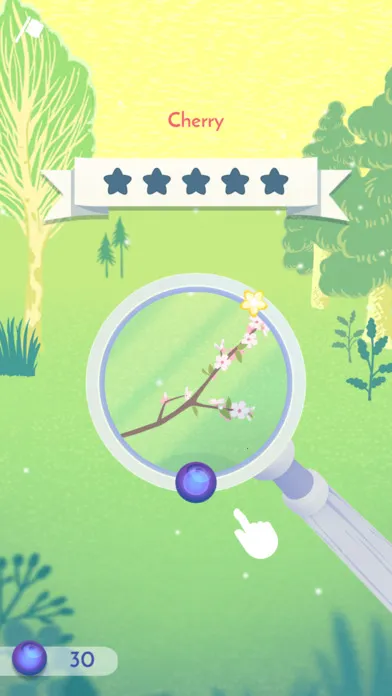 ɭ��С������