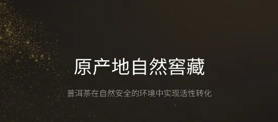 �����Ž������ֻ���