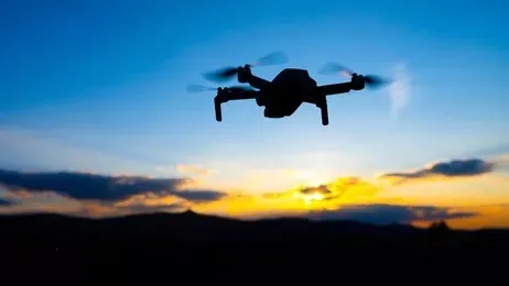 �����ɷ��ֶ�