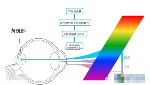 ��ɫ�Ⲩ������2026���°汾