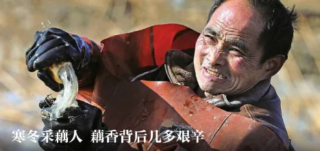 ��ʱ��2026�ٷ�����