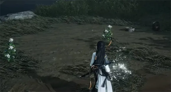 ����ʮ�����ٷ�����