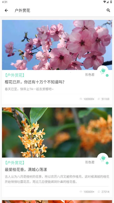 ��ɫ2026���°汾