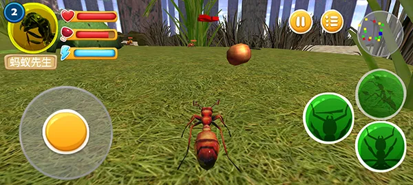 ���ϲ���