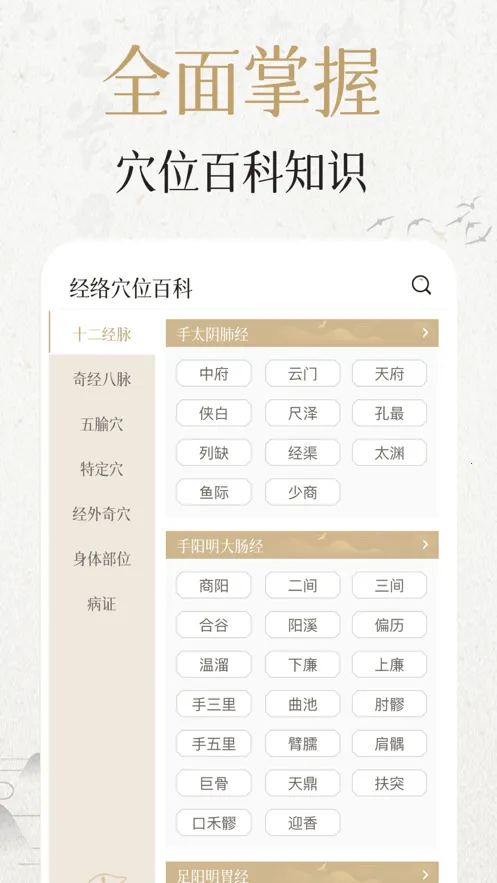 �мþ���Ѩλ2026���ذ�װ