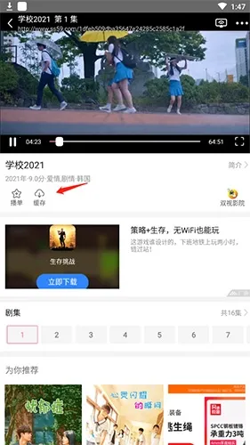 �����ȫ2026�ٷ�����