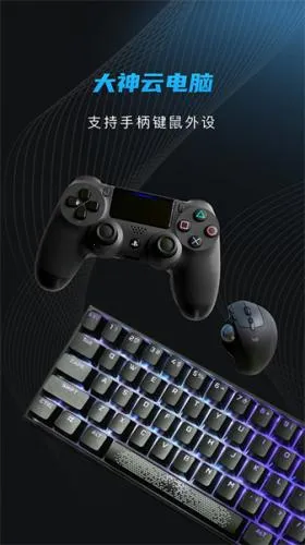 �����Ƶ���