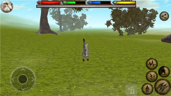 �ռ�èģ����2026�ٷ����°汾