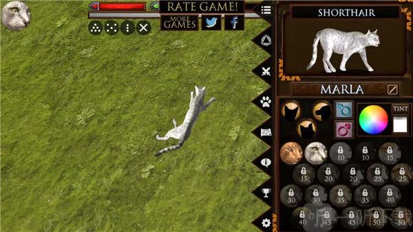 �ռ�èģ����2026�ٷ����°汾