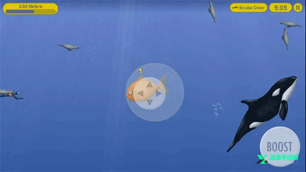 ��ζ��������2026���ذ�װ