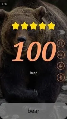 Ӣ��ּ���(Ӣ��ѧϰ����)