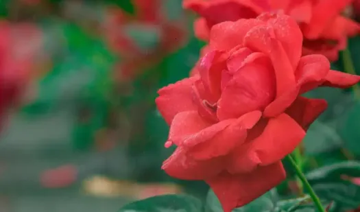 С԰��׷��app�����������