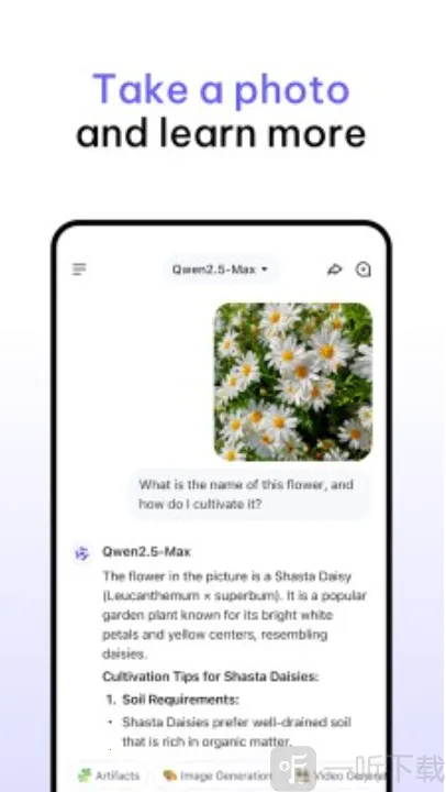 Qwen Chat(����ѧϰ�ʴ�����)