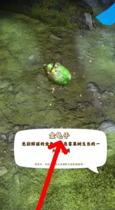 �����������˼����