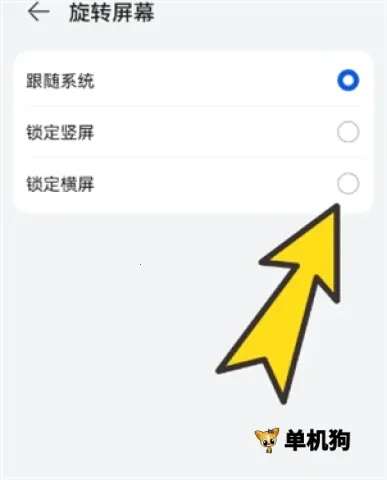 ���������׿���ֻ���