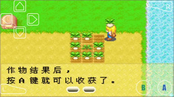牧场物语女孩最新手机版 牧场物语女孩最新手机版