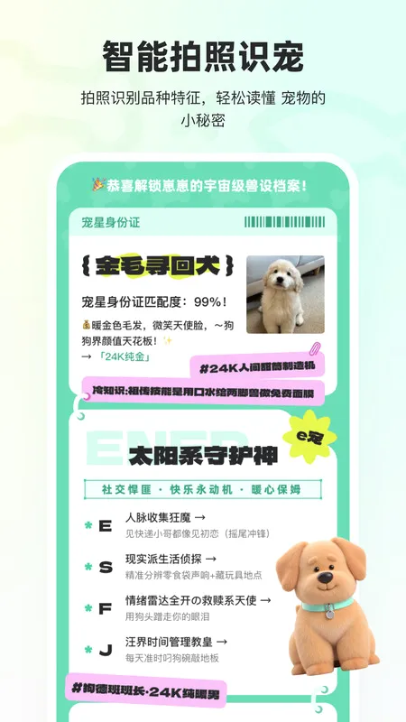 宠拍档(宠物服务软件) 宠拍档(宠物服务软件)