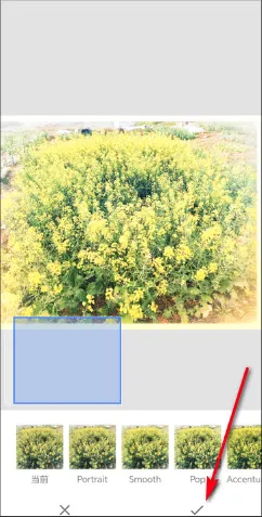 BetterSeed2026���°汾
